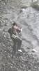 布克冰岛旅行，偷感好重😅